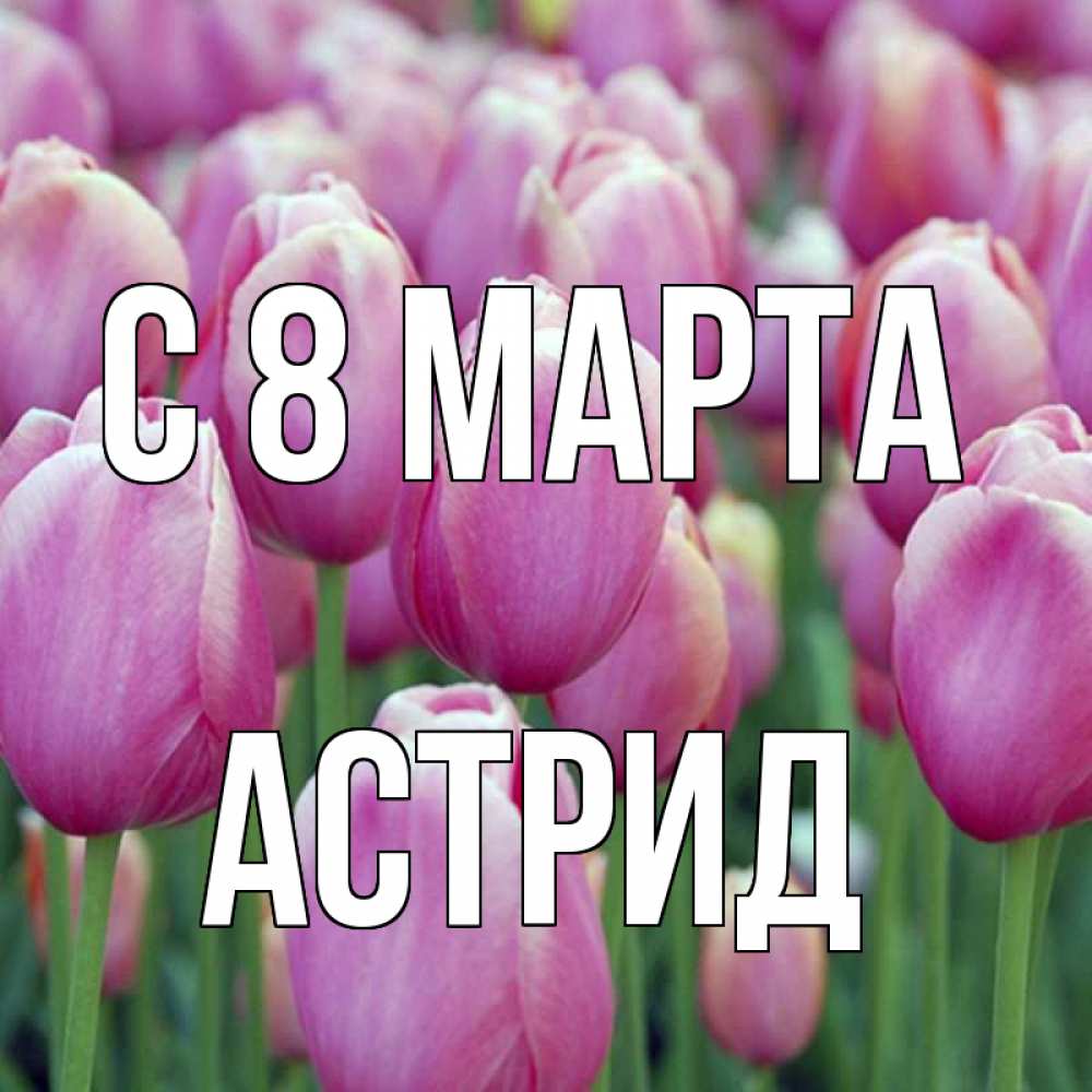 Открытка на каждый день с именем, Астрид С 8 МАРТА на международный женский день 3 Прикольная открытка с пожеланием онлайн скачать бесплатно 