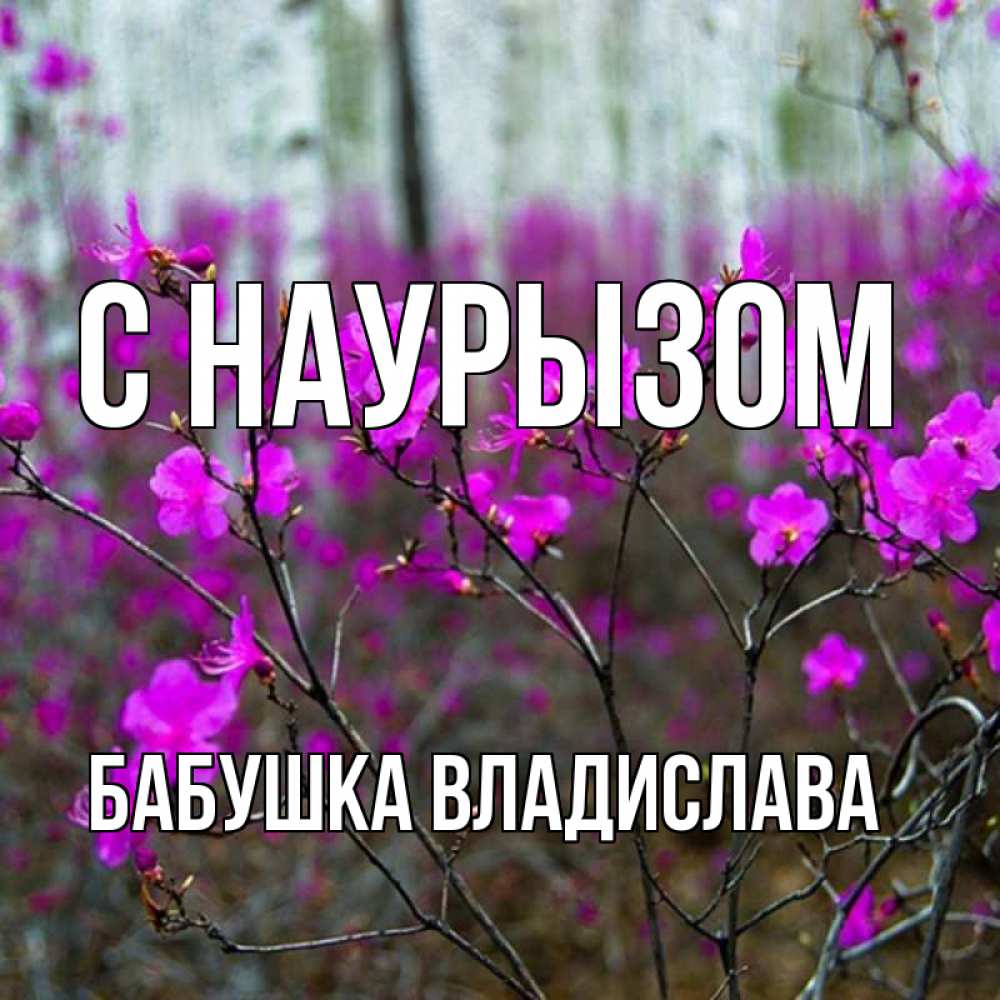 Открытка на каждый день с именем, Бабушка-Владислава С наурызом дикие цветы Прикольная открытка с пожеланием онлайн скачать бесплатно 
