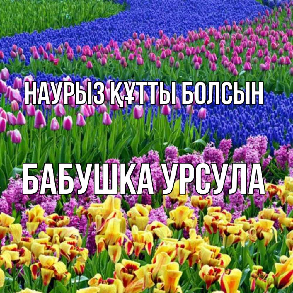 Открытка на каждый день с именем, Бабушка-Урсула Наурыз құтты болсын цветы Прикольная открытка с пожеланием онлайн скачать бесплатно 