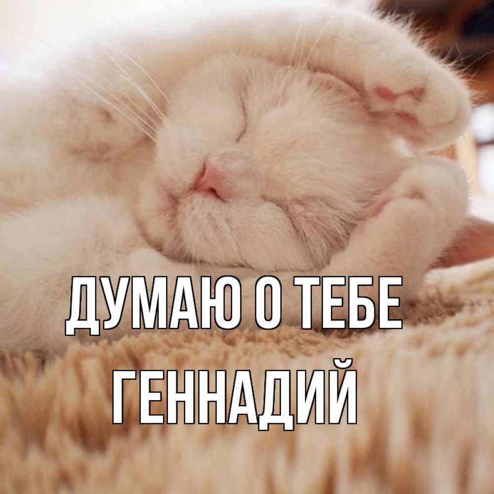 Открытка на каждый день с именем, Геннадий Думаю о тебе для любимой девушки милота Прикольная открытка с пожеланием онлайн скачать бесплатно 
