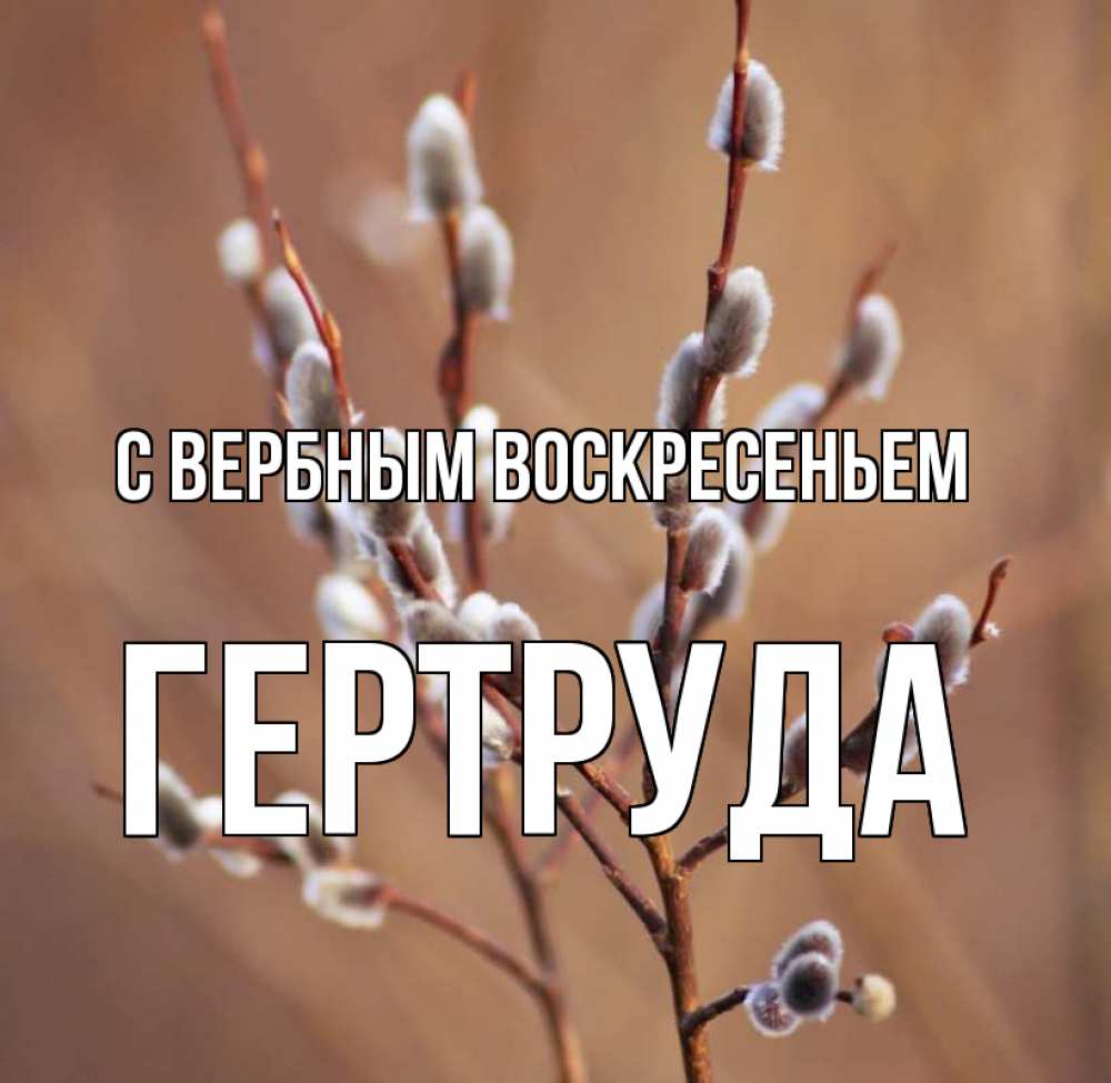 Открытка на каждый день с именем, Гертруда С вербным воскресеньем верба Прикольная открытка с пожеланием онлайн скачать бесплатно 