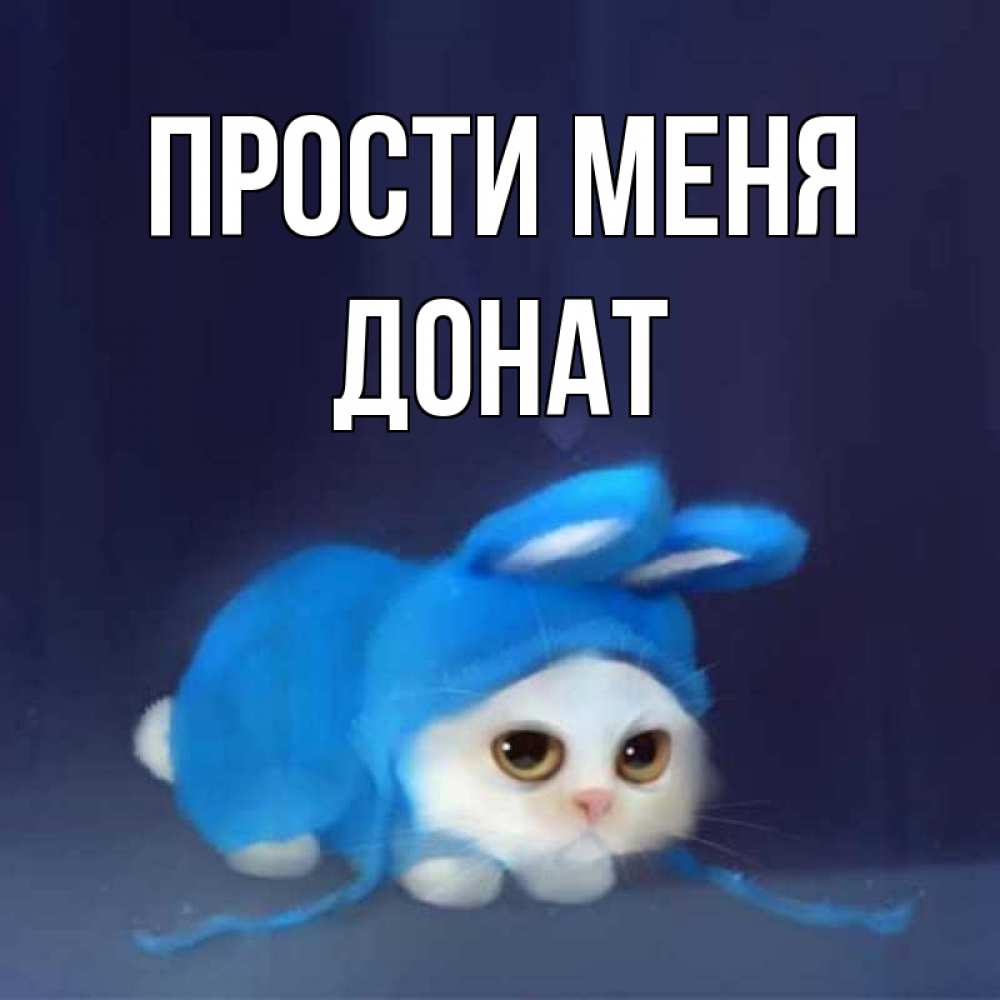 Открытка на каждый день с именем, Донат Прости меня невинный котозай просит прощения Прикольная открытка с пожеланием онлайн скачать бесплатно 