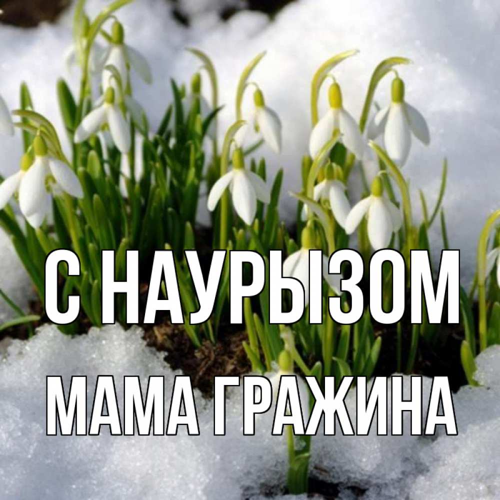 Открытка на каждый день с именем, Мама-Гражина С наурызом цветы весенние Прикольная открытка с пожеланием онлайн скачать бесплатно 
