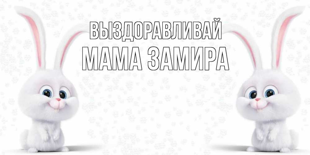Открытка на каждый день с именем, Мама-Замира Выздоравливай не болей с зайцем Прикольная открытка с пожеланием онлайн скачать бесплатно 