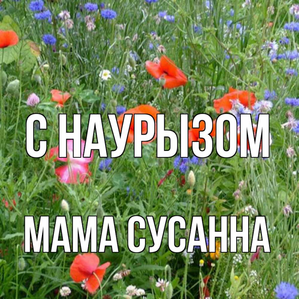 Открытка на каждый день с именем, Мама-Сусанна С наурызом праздник весны наурыз супер открытка Прикольная открытка с пожеланием онлайн скачать бесплатно 