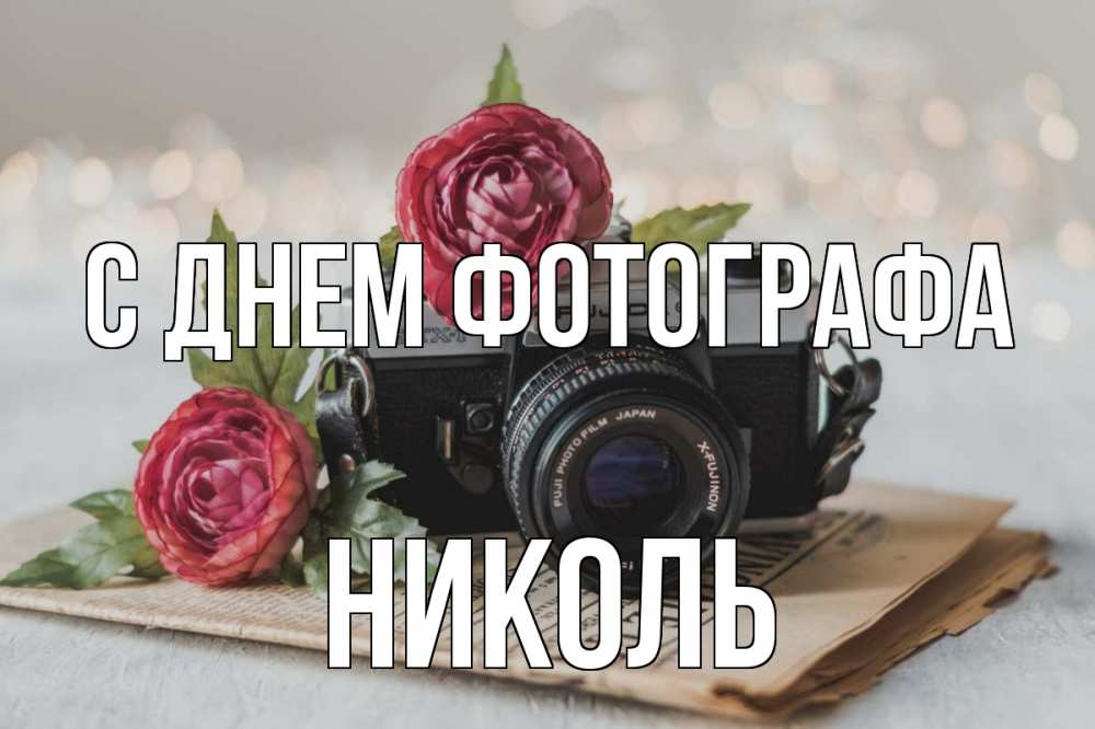 Открытка на каждый день с именем, Николь С днем фотографа с днем фотографа Прикольная открытка с пожеланием онлайн скачать бесплатно 