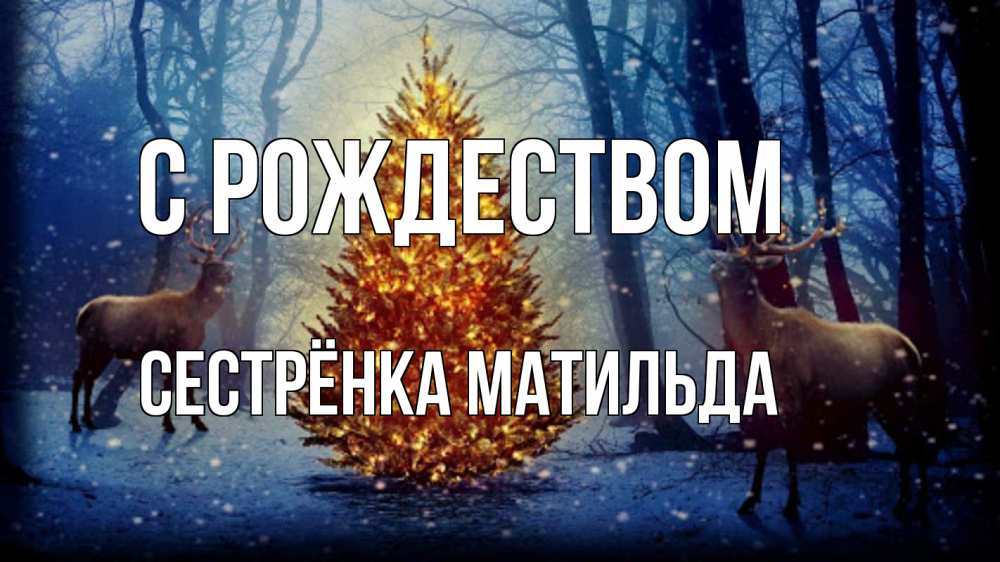 Открытка на каждый день с именем, Сестрёнка-Матильда С рождеством олени, новогодняя елка Прикольная открытка с пожеланием онлайн скачать бесплатно 