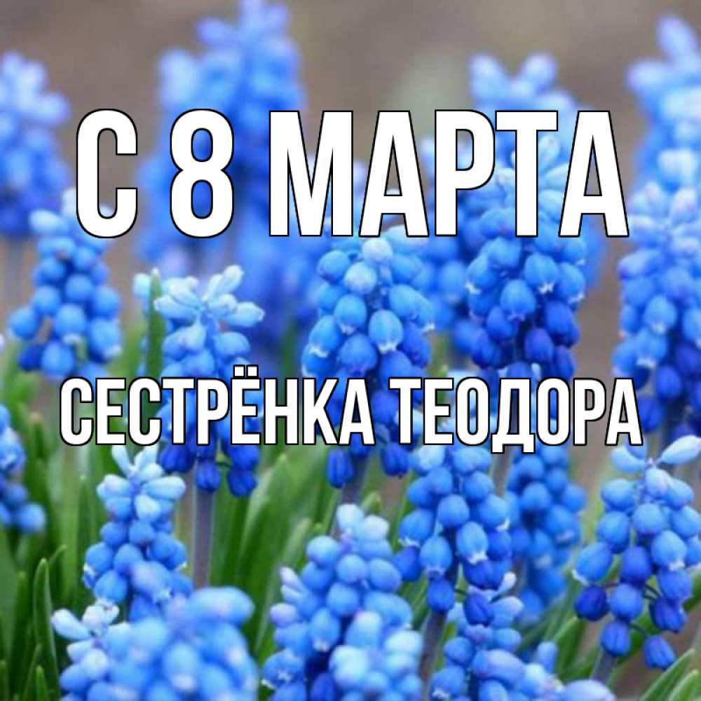 Открытка на каждый день с именем, Сестрёнка-Теодора С 8 МАРТА Поздравительная открытка для женщин с цветами на праздничную дату Прикольная открытка с пожеланием онлайн скачать бесплатно 