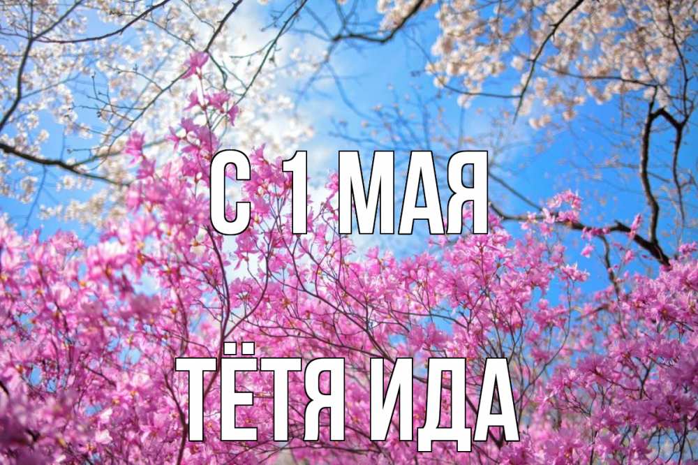 Открытка на каждый день с именем, Тётя-Ида С 1 мая С 1 мая Прикольная открытка с пожеланием онлайн скачать бесплатно 
