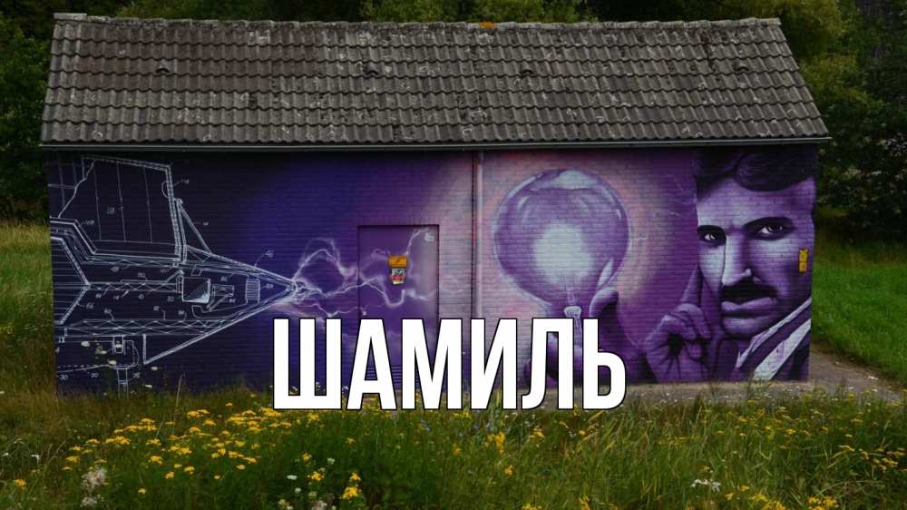 Открытка на каждый день с именем, Шамиль Главная молнии, Тесла Прикольная открытка с пожеланием онлайн скачать бесплатно 