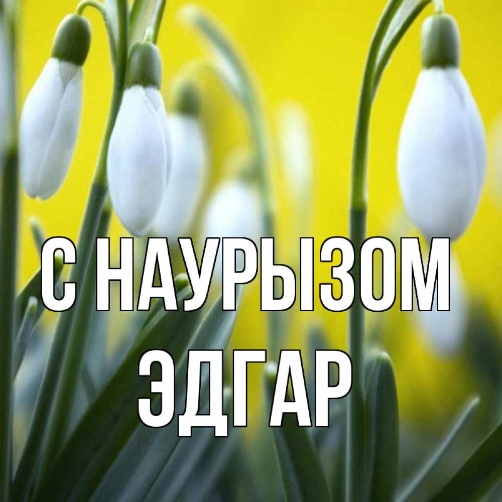 Открытка на каждый день с именем, Эдгар С наурызом весенние цветы Прикольная открытка с пожеланием онлайн скачать бесплатно 