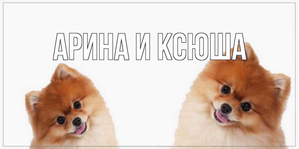 Открытка на каждый день с именем, Арина-и-Ксюша Главная собачки желают прекрасного дня Прикольная открытка с пожеланием онлайн скачать бесплатно 