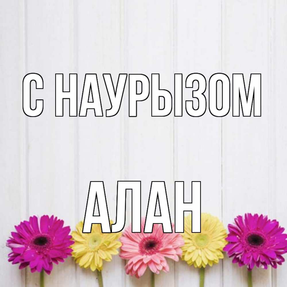 Открытка на каждый день с именем, Алан С наурызом женщинам 1 Прикольная открытка с пожеланием онлайн скачать бесплатно 