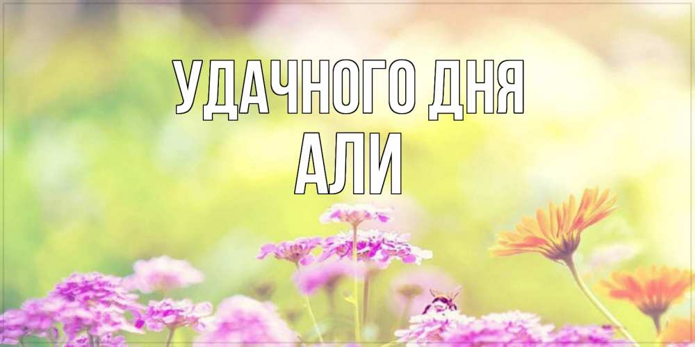 Открытка на каждый день с именем, Али Удачного дня красивая открытка с летней темой Прикольная открытка с пожеланием онлайн скачать бесплатно 