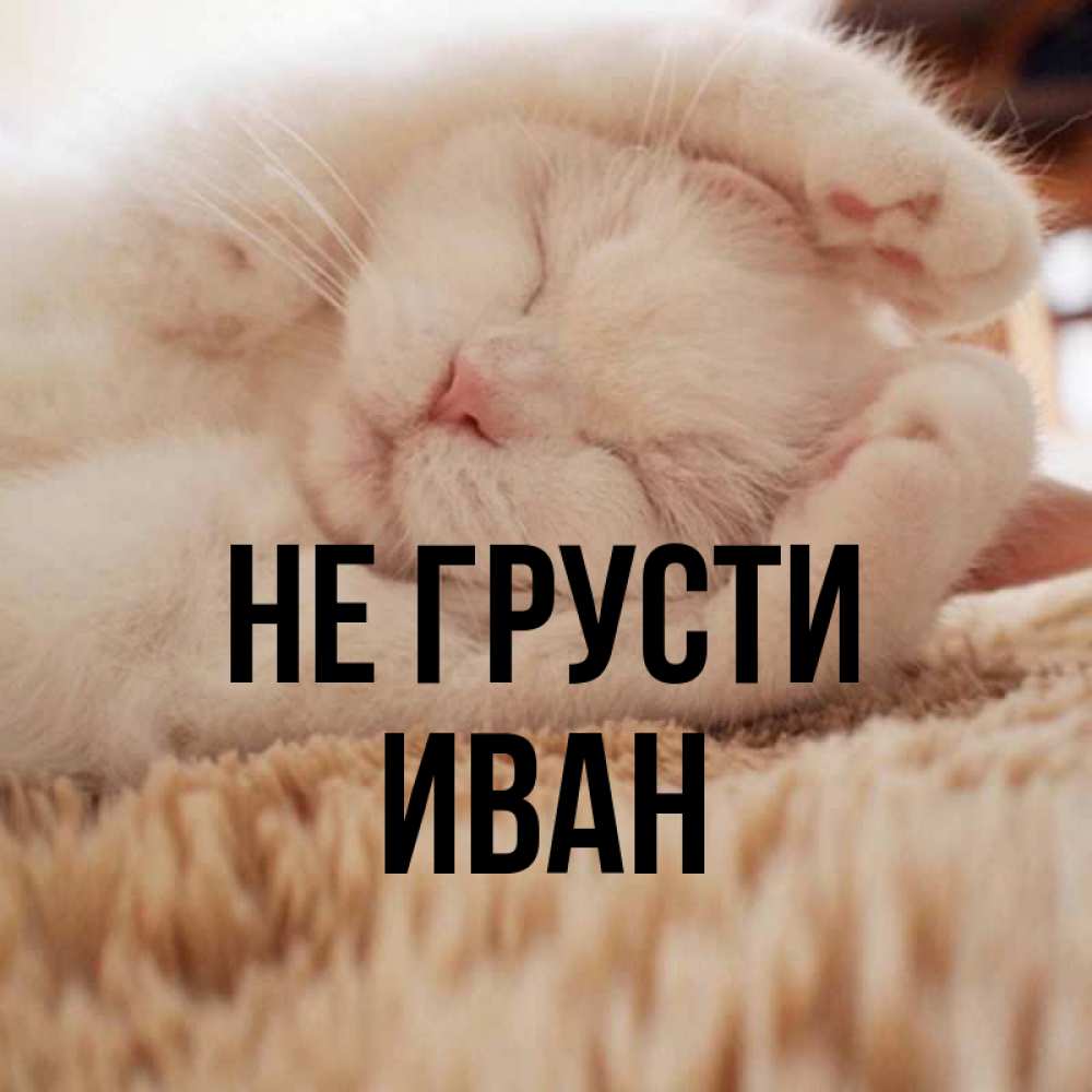 Открытка на каждый день с именем, Иван Не грусти Котенок спит Прикольная открытка с пожеланием онлайн скачать бесплатно 