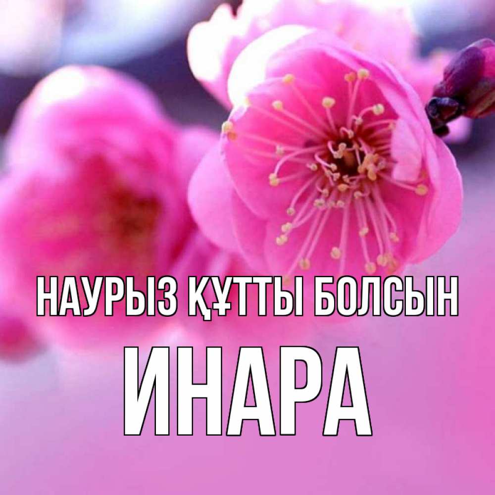 Открытка на каждый день с именем, Инара Наурыз құтты болсын наурыз мейрам Прикольная открытка с пожеланием онлайн скачать бесплатно 