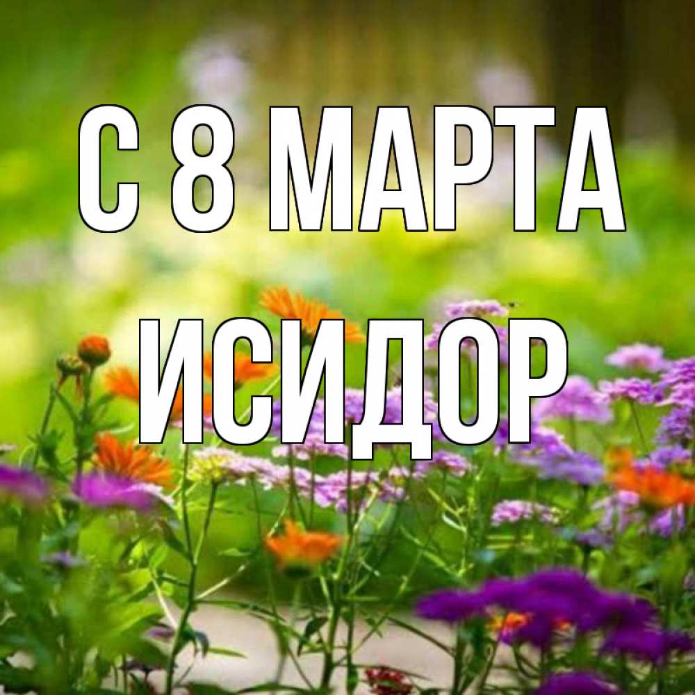Открытка на каждый день с именем, Исидор С 8 МАРТА цветы Прикольная открытка с пожеланием онлайн скачать бесплатно 