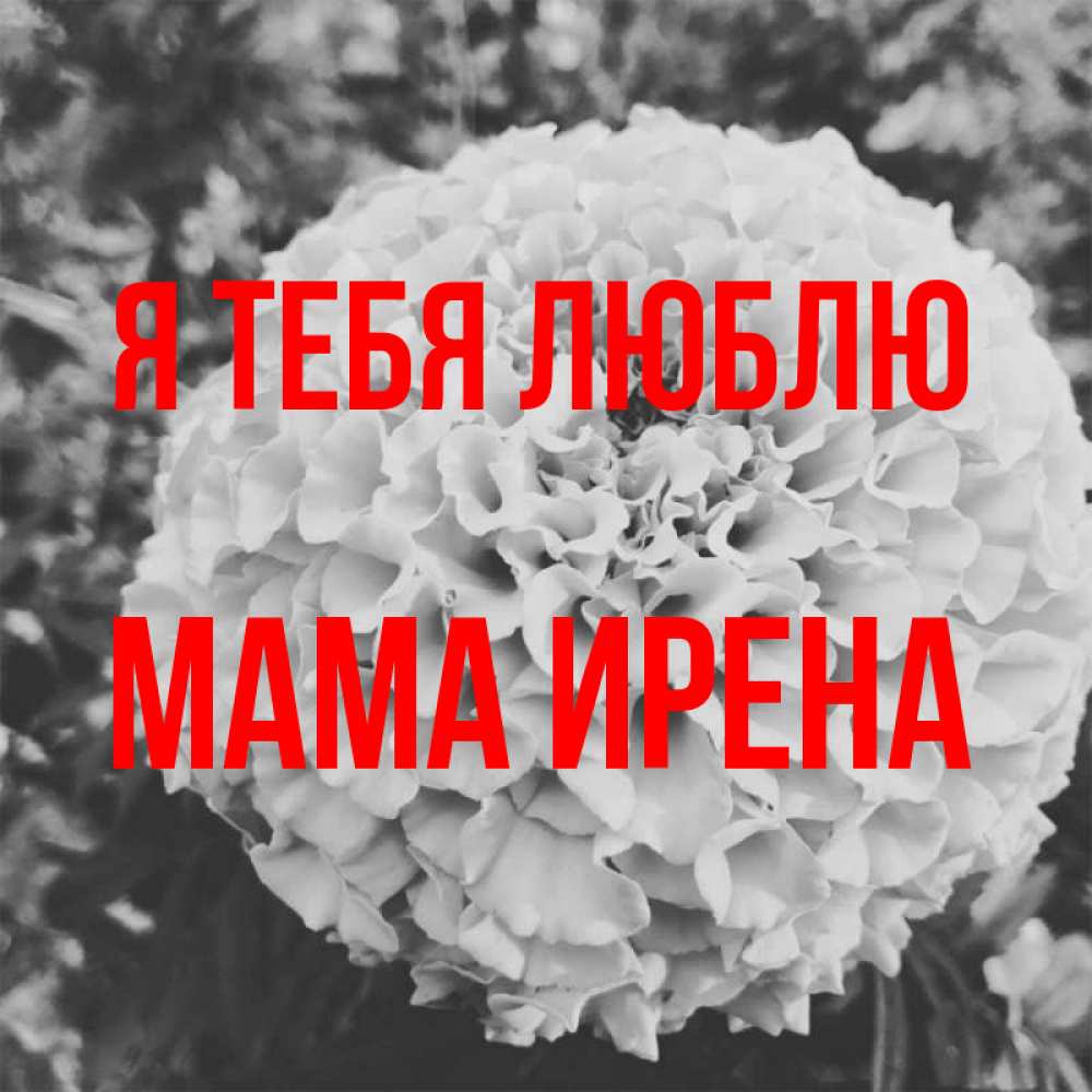Открытка на каждый день с именем, Мама-Ирена Я тебя люблю подпись Прикольная открытка с пожеланием онлайн скачать бесплатно 