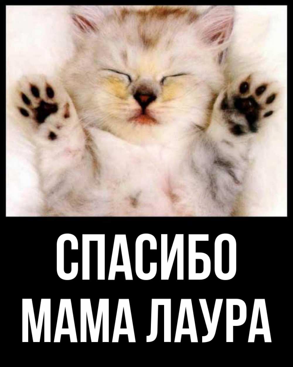 Открытка на каждый день с именем, Мама-Лаура Спасибо маленький котенок Прикольная открытка с пожеланием онлайн скачать бесплатно 