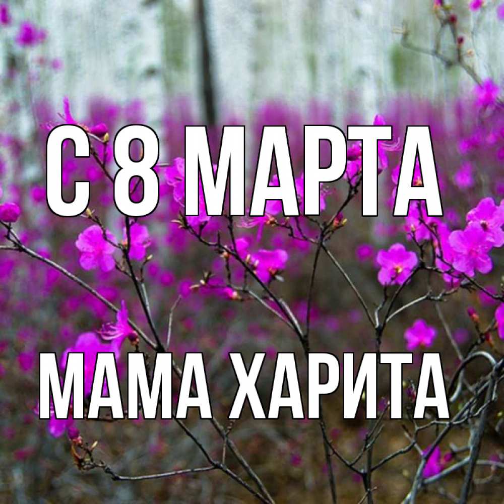 Открытка на каждый день с именем, Мама-Харита С 8 МАРТА дикие цветы Прикольная открытка с пожеланием онлайн скачать бесплатно 