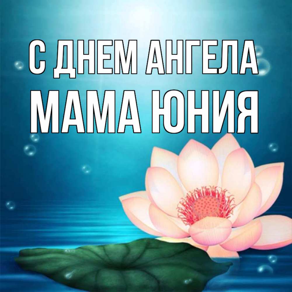 Открытка на каждый день с именем, Мама-Юния С днем ангела кувшинка Прикольная открытка с пожеланием онлайн скачать бесплатно 