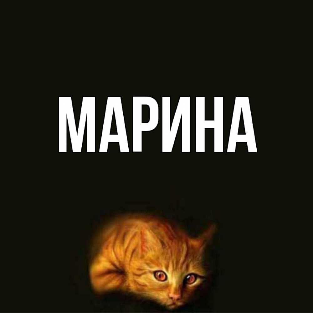 Открытка на каждый день с именем, Марина Главная лежащий кот в темноте Прикольная открытка с пожеланием онлайн скачать бесплатно 