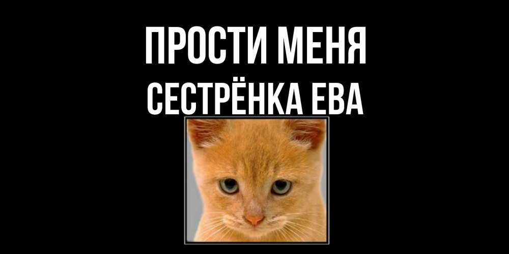 Открытка на каждый день с именем, Сестрёнка-Ева Прости меня рыжий грустный кот просит прощения Прикольная открытка с пожеланием онлайн скачать бесплатно 