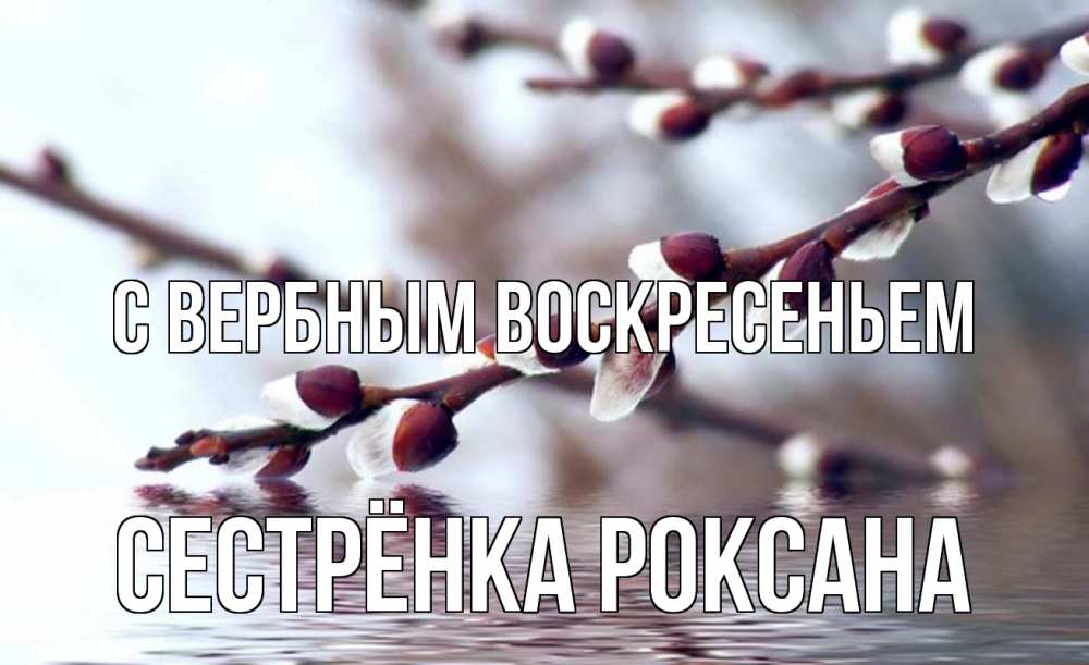 Открытка на каждый день с именем, Сестрёнка-Роксана С вербным воскресеньем верба, ручей Прикольная открытка с пожеланием онлайн скачать бесплатно 