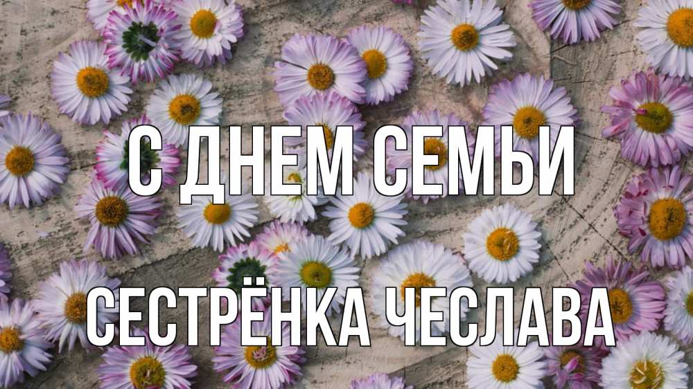 Открытка на каждый день с именем, Сестрёнка-Чеслава С днем семьи с днем семьи Прикольная открытка с пожеланием онлайн скачать бесплатно 