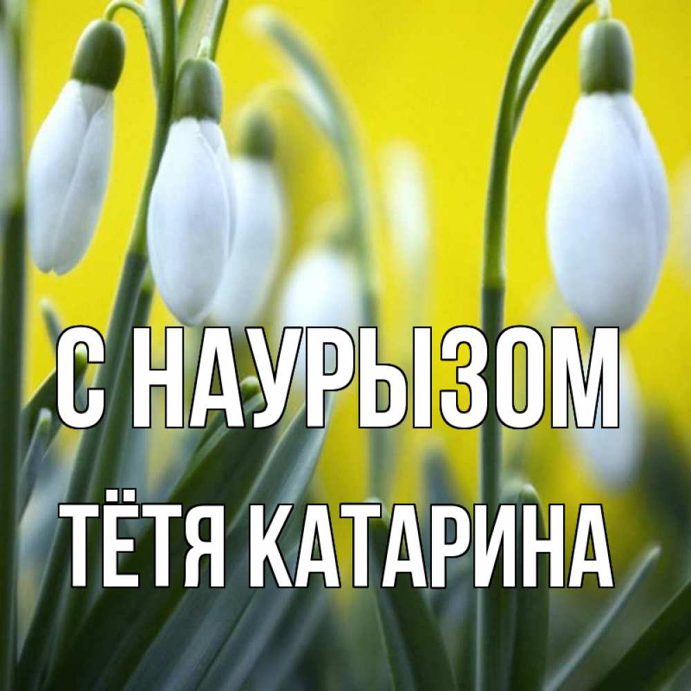 Открытка на каждый день с именем, Тётя-Катарина С наурызом весенние цветы Прикольная открытка с пожеланием онлайн скачать бесплатно 