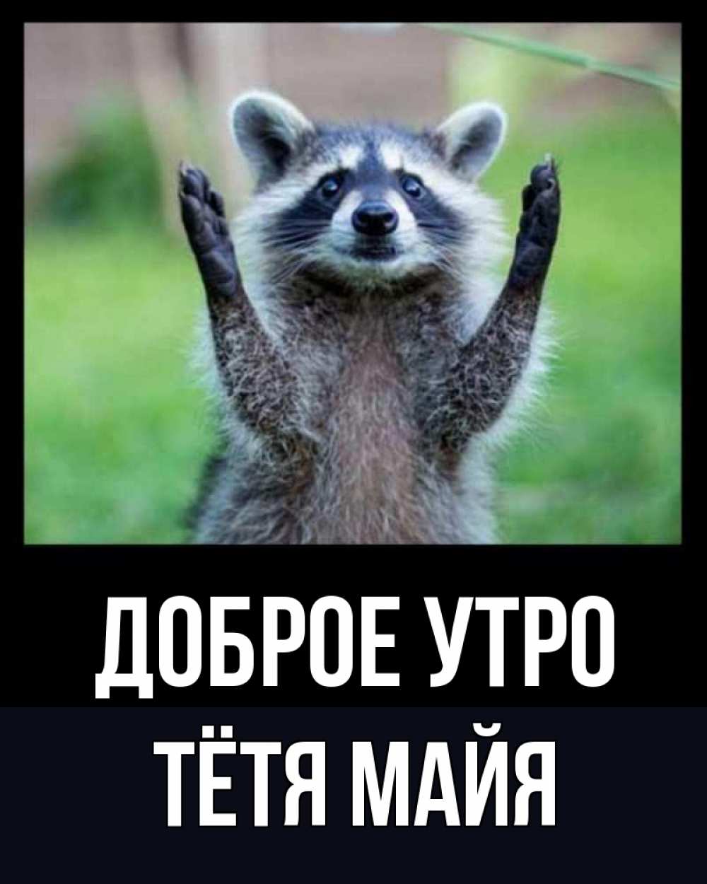 Открытка на каждый день с именем, Тётя-Майя Доброе утро хорошее настроение утречком Прикольная открытка с пожеланием онлайн скачать бесплатно 