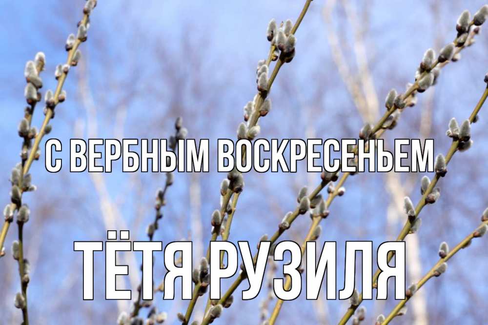 Открытка на каждый день с именем, Тётя-Рузиля С вербным воскресеньем верба Прикольная открытка с пожеланием онлайн скачать бесплатно 