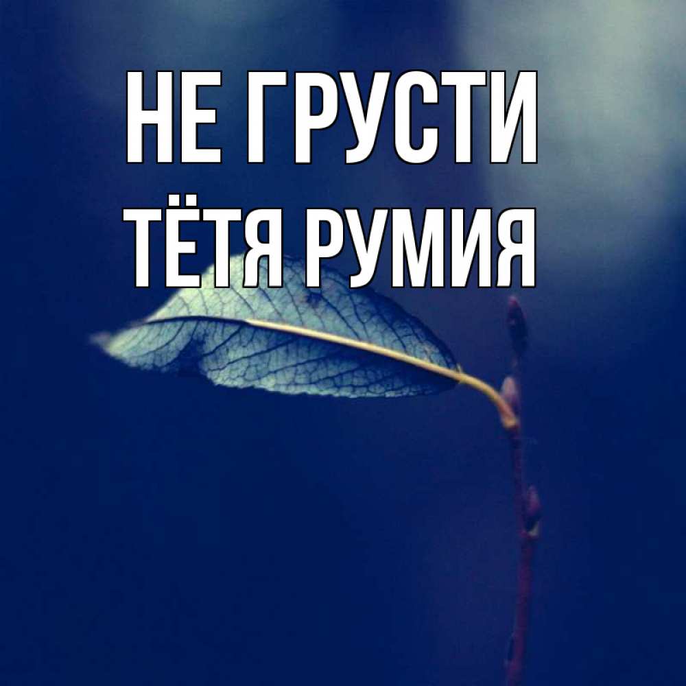 Открытка на каждый день с именем, Тётя-Румия Не грусти растение Прикольная открытка с пожеланием онлайн скачать бесплатно 