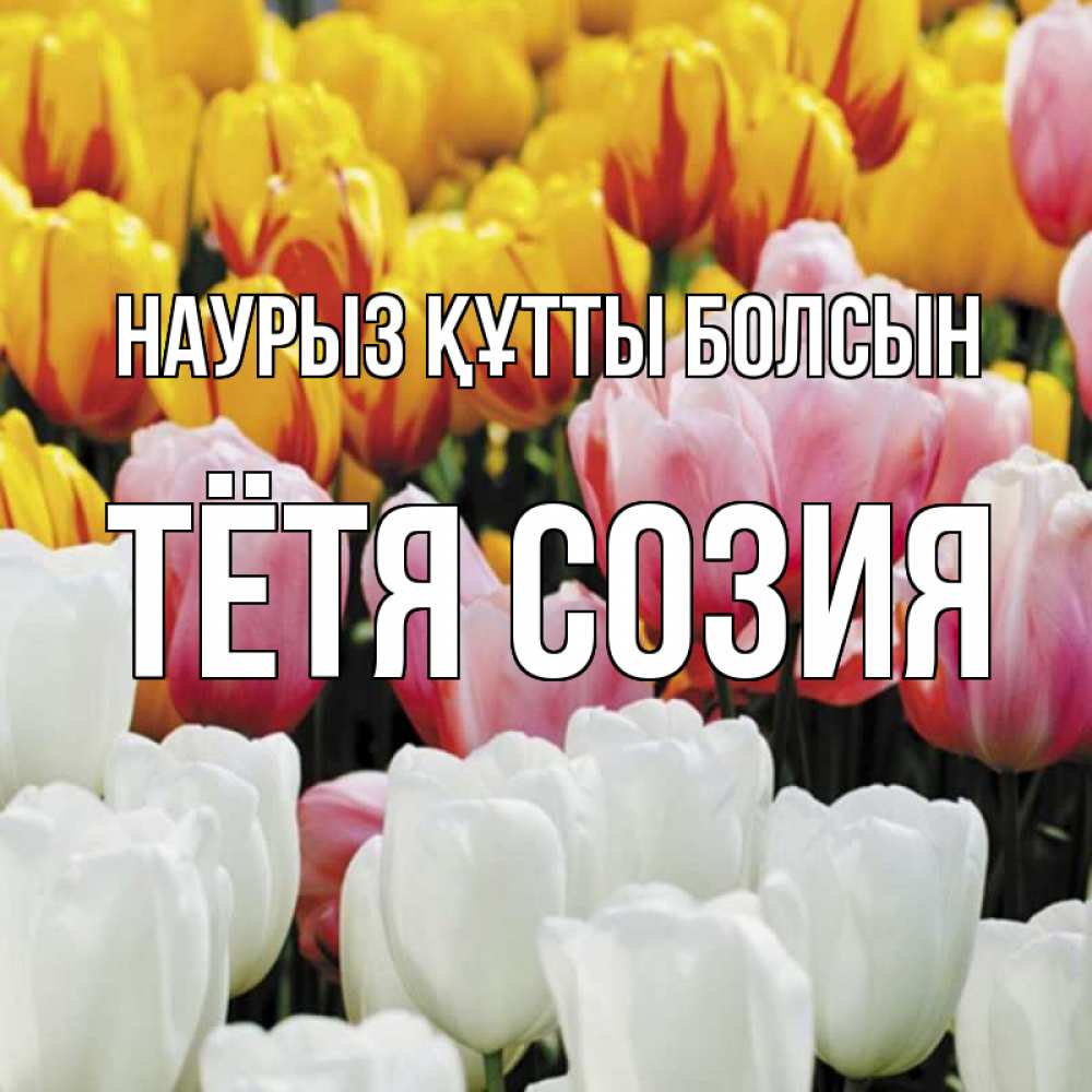 Открытка на каждый день с именем, Тётя-Созия Наурыз құтты болсын разноцветные цветы Прикольная открытка с пожеланием онлайн скачать бесплатно 