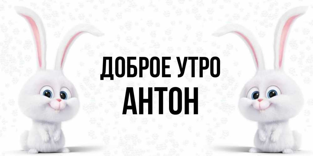 Картинки с добрым утром антон