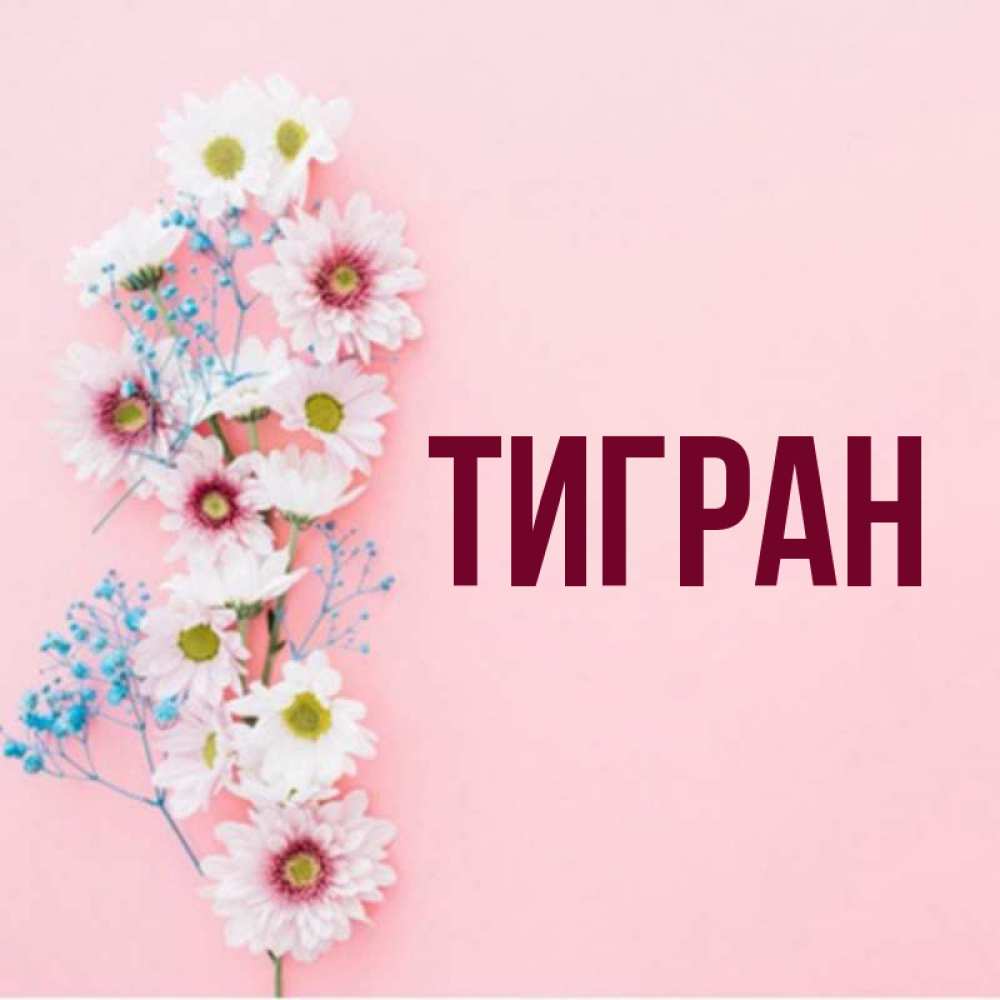 Картинки с именем тигран