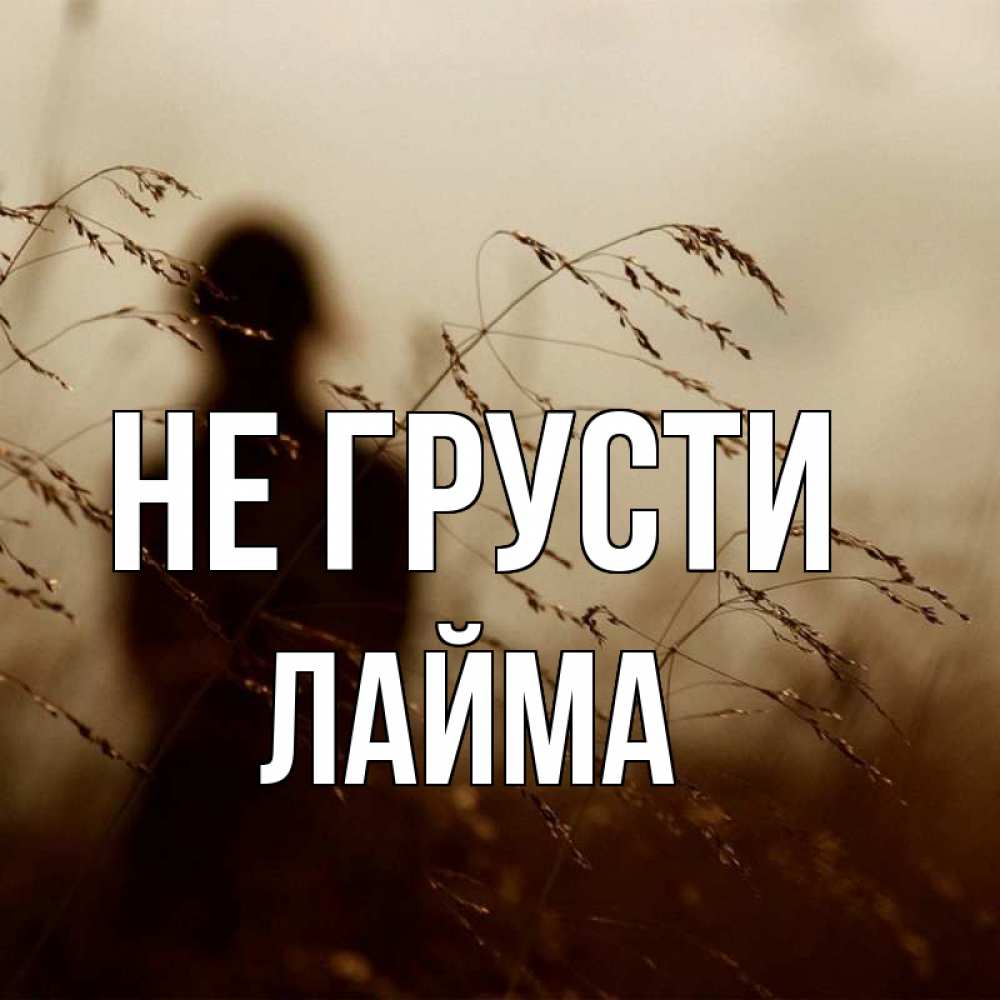 Открытка на каждый день с именем, Лайма Не грусти грусть Прикольная открытка с пожеланием онлайн скачать бесплатно 