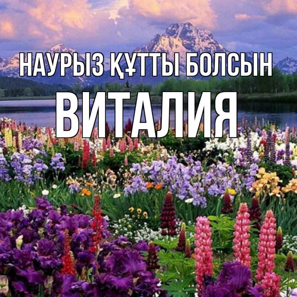 Открытка на каждый день с именем, Виталия Наурыз құтты болсын наурыз Прикольная открытка с пожеланием онлайн скачать бесплатно 