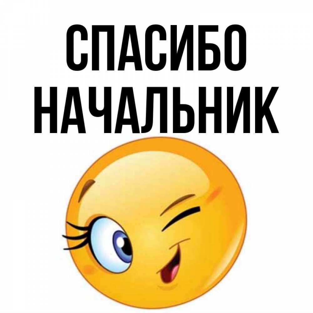 Благодарить начальнику. Спасибо начальник. Спасибо начальнику картинки. Открытка спасибо руководителю. Открытки для шефа спасибо.