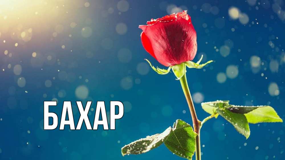 Картинка  с именем , Бахар