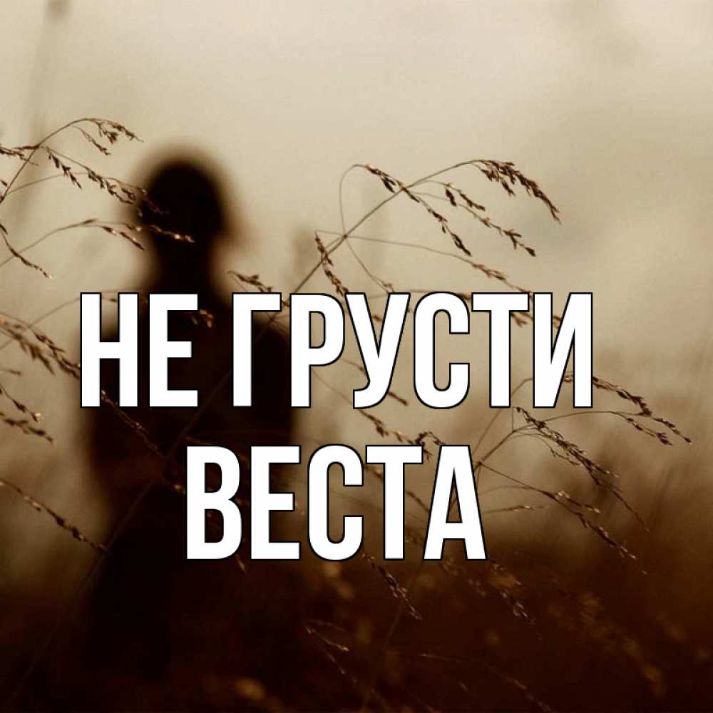 Открытка на каждый день с именем, Веста Не грусти грусть Прикольная открытка с пожеланием онлайн скачать бесплатно 