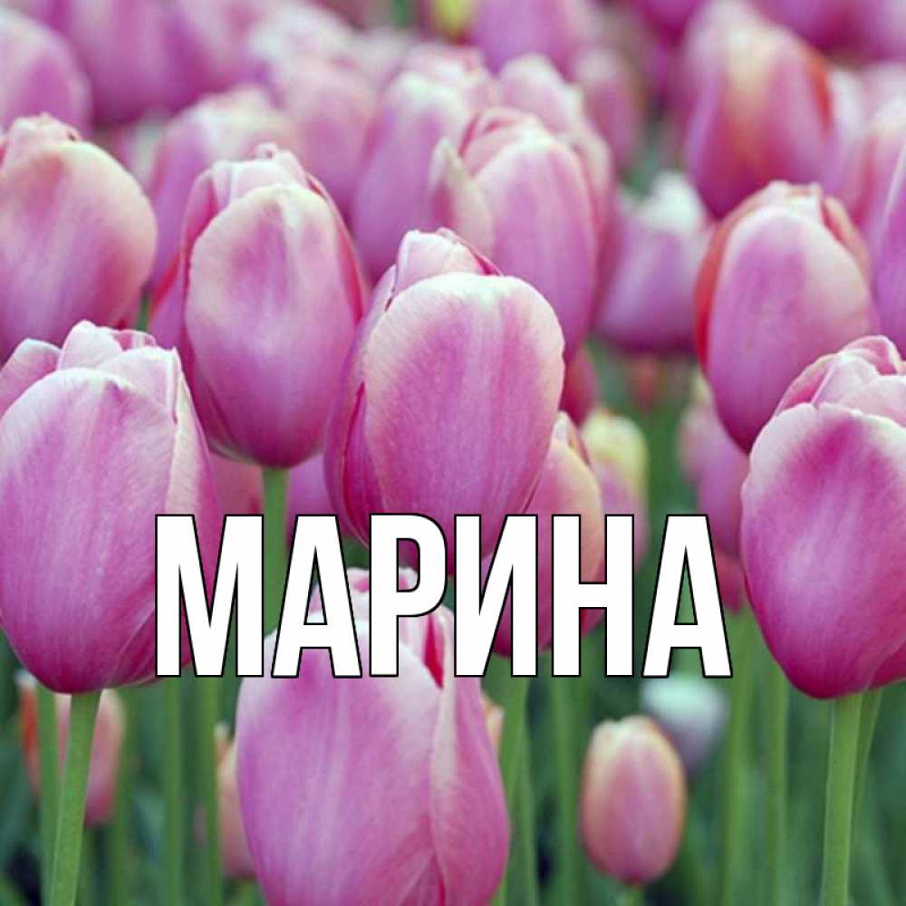 Открытка на каждый день с именем, Марина Главная на международный женский день 3 Прикольная открытка с пожеланием онлайн скачать бесплатно 