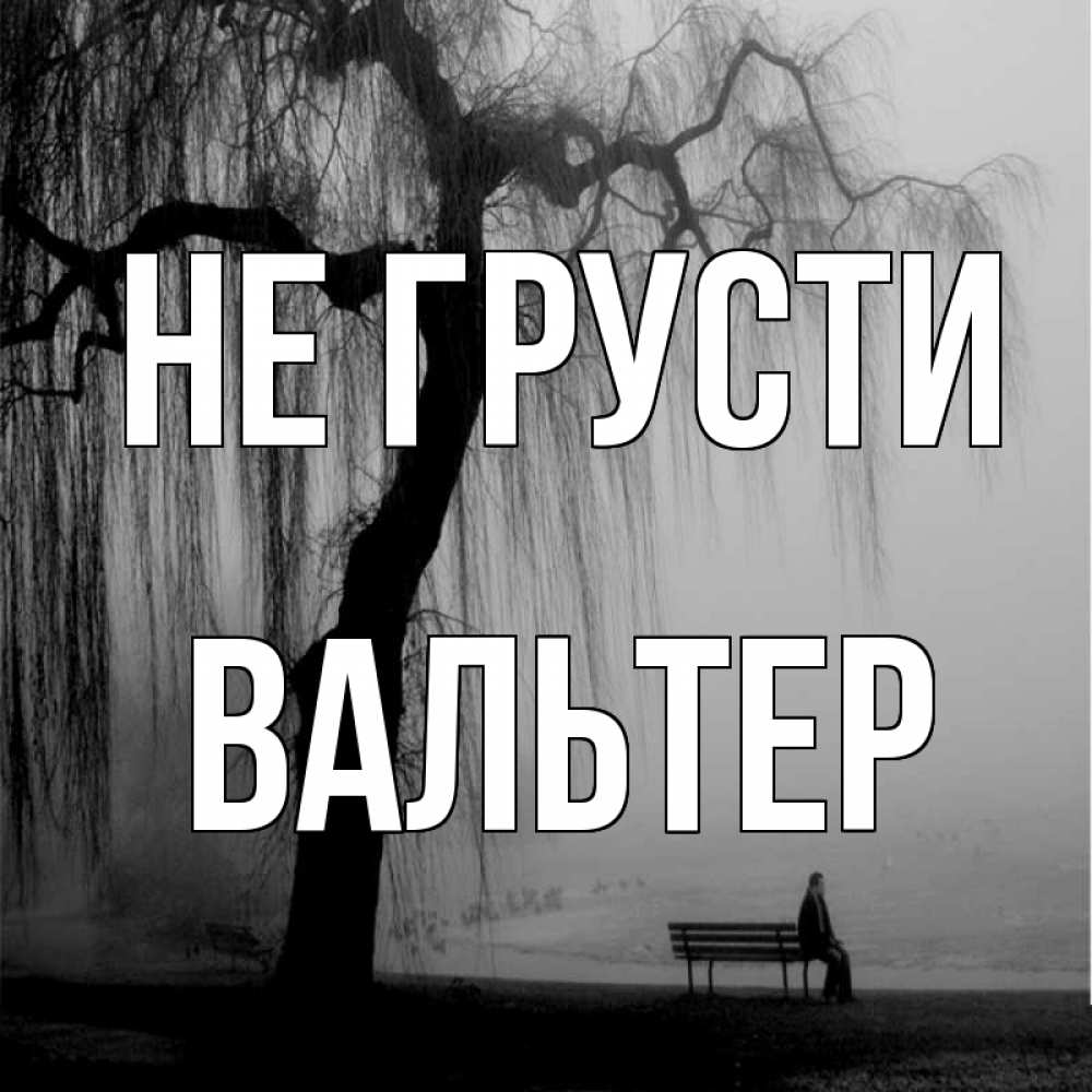 Открытка на каждый день с именем, Вальтер Не грусти висящие ветки дерева и лавочка под деревом Прикольная открытка с пожеланием онлайн скачать бесплатно 