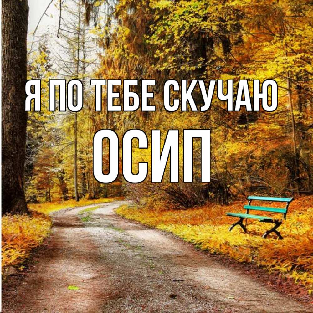 Открытка на каждый день с именем, Осип Я по тебе скучаю зеленая лавочка и осенний лес Прикольная открытка с пожеланием онлайн скачать бесплатно 