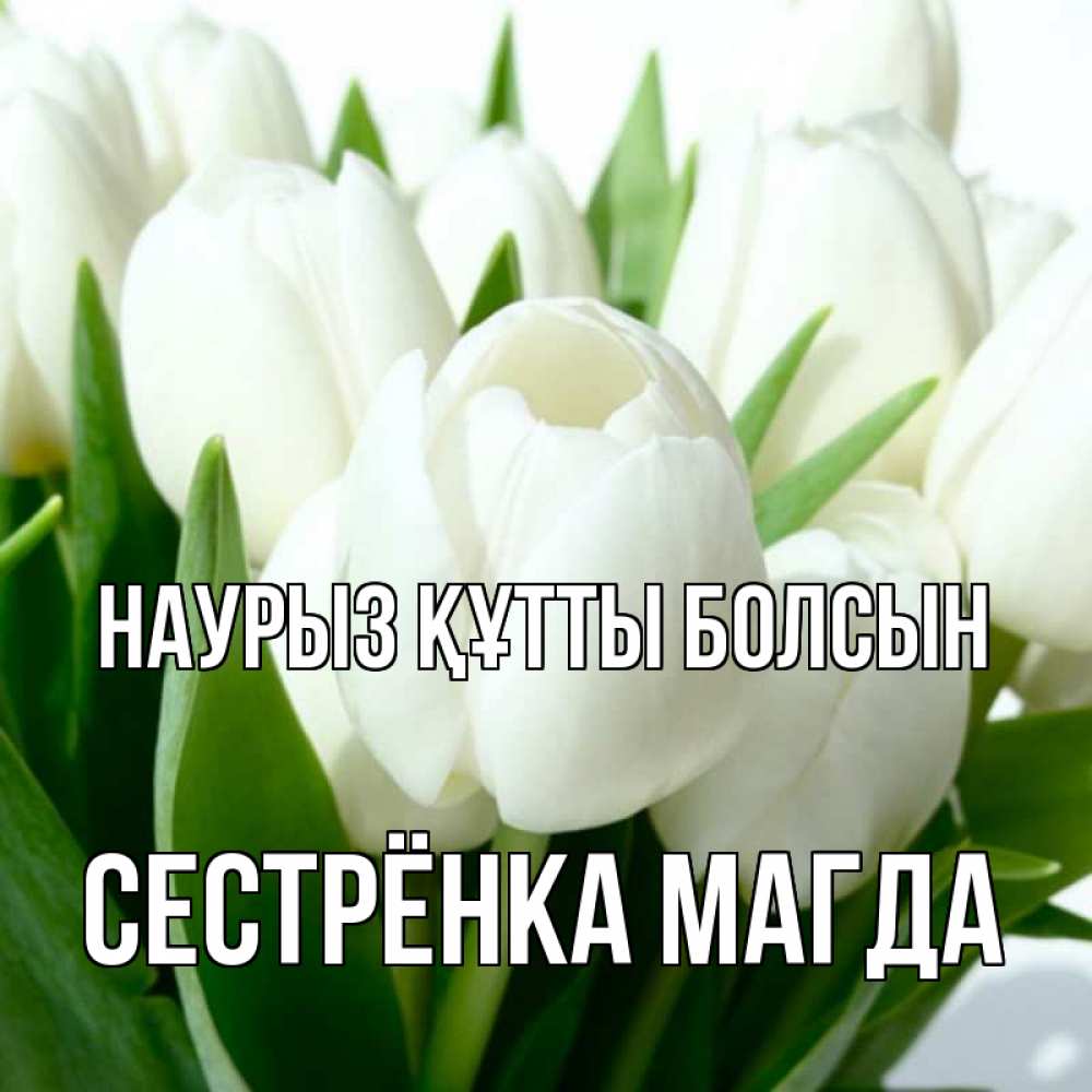 Открытка на каждый день с именем, Сестрёнка-Магда Наурыз құтты болсын цветы Прикольная открытка с пожеланием онлайн скачать бесплатно 