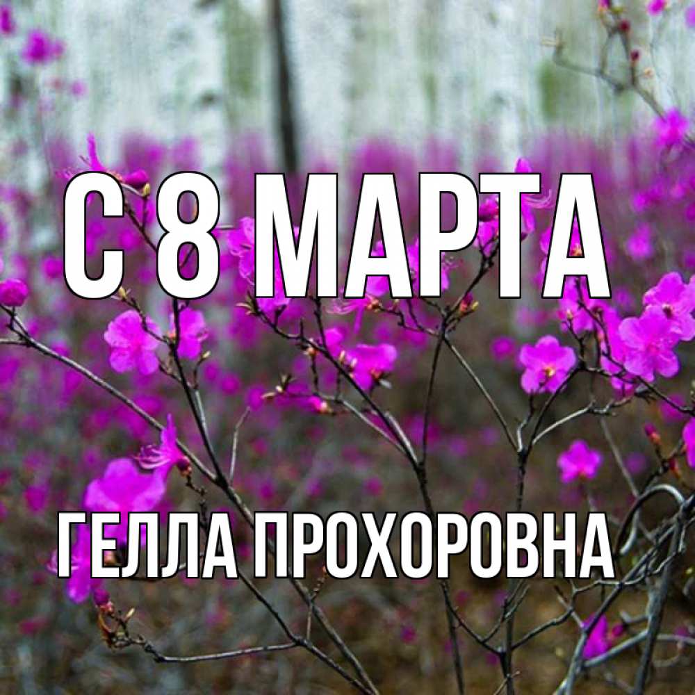 Картинка С 8 МАРТА, Гелла Прохоровна