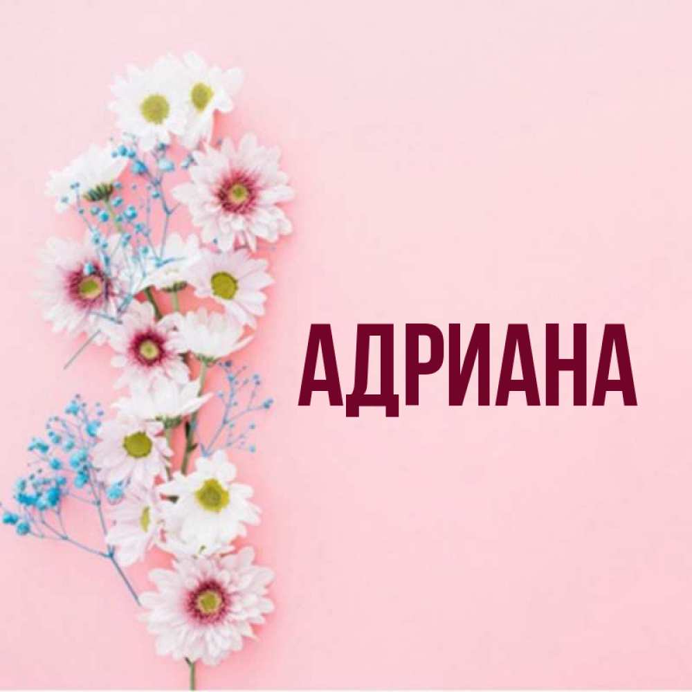 Картинки с днем рождения адриана