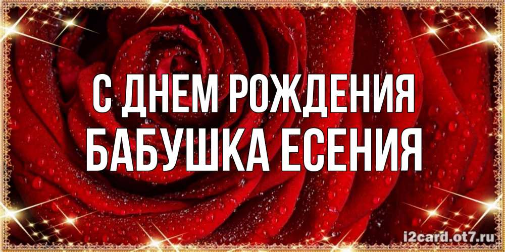 Открытка на каждый день с именем, Бабушка-Есения С днем рождения роса на розе блестящая в лучах солнца Прикольная открытка с пожеланием онлайн скачать бесплатно 