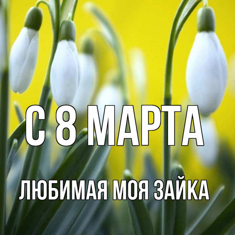 Картинка С 8 МАРТА, Любимая моя зайка