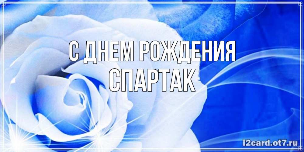 Открытка на каждый день с именем, Спартак С днем рождения белая роза на голубом фоне Прикольная открытка с пожеланием онлайн скачать бесплатно 
